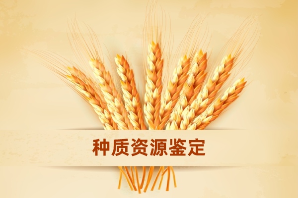 種質資源精準鑒定