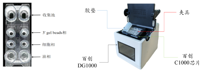 圖1：百創(chuàng)C1000芯片結構（左圖）；百創(chuàng)DG1000微液滴生成儀（右圖）